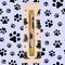 E & S Imports 5.5 Inch Black Pug Ballpoint Pen Everyday Pen , Writing Dog Puppy Pet